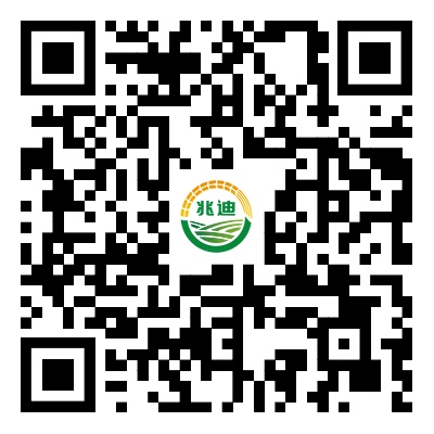 联系3499拉斯维加斯